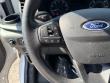 2025 Ford Transit Cargo Van T-250 148 Low Rf 9070 GVWR RWD