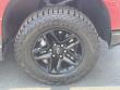 2024 Chevrolet Silverado 1500 LT Trail Boss Pickup