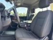 2025 Chevrolet Silverado 1500 Work Truck Pickup