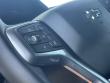 2024 Chevrolet Silverado 1500 LT Trail Boss Pickup