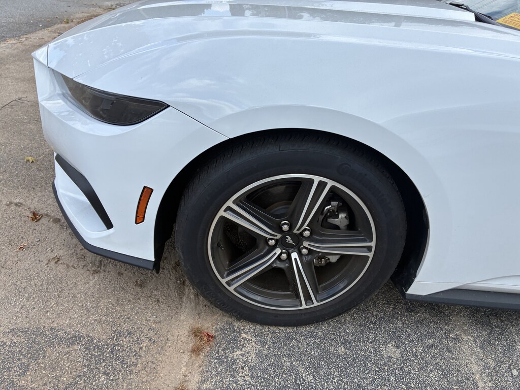 Used 2025 Ford Mustang EcoBoost Coupe