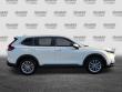 2023 Honda CR-V EX-L w/BSI SUV