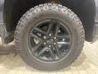 2021 Chevrolet Silverado 1500 Custom Trail Boss Pickup