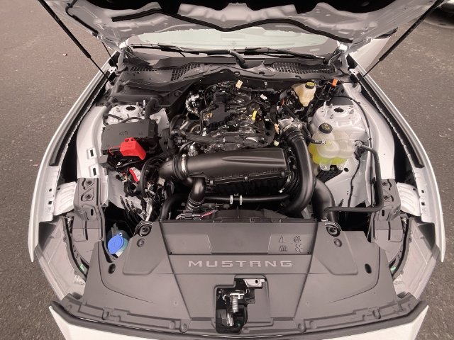 2026 Ford Mustang EcoBoost Premium Fastback - Photo 25
