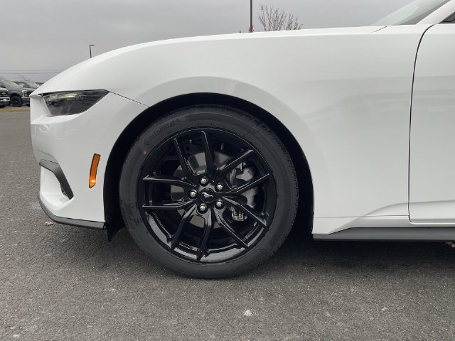 2026 Ford Mustang EcoBoost Premium Fastback - Photo 10