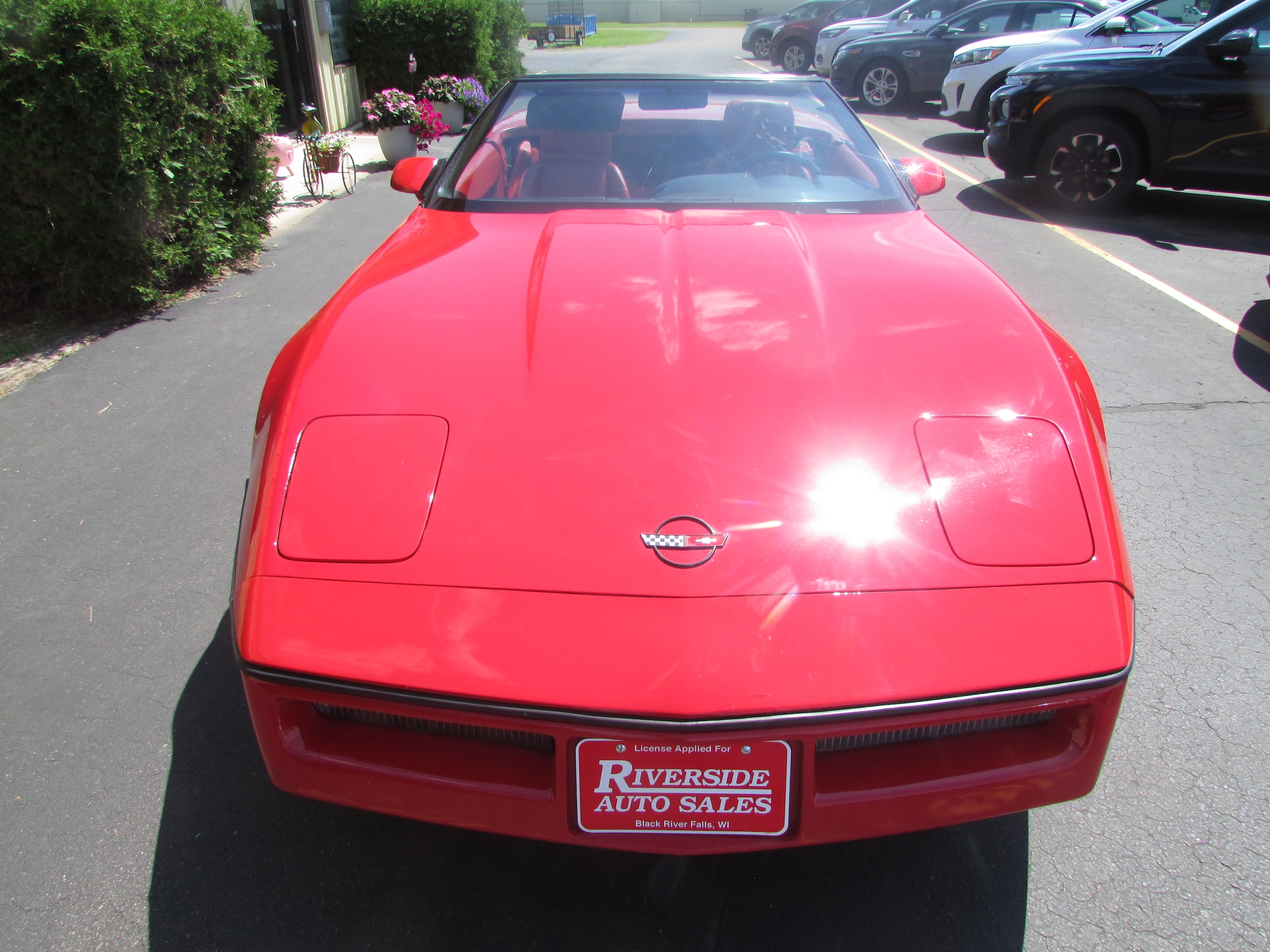 1990 Chevrolet Corvette - Photo 6