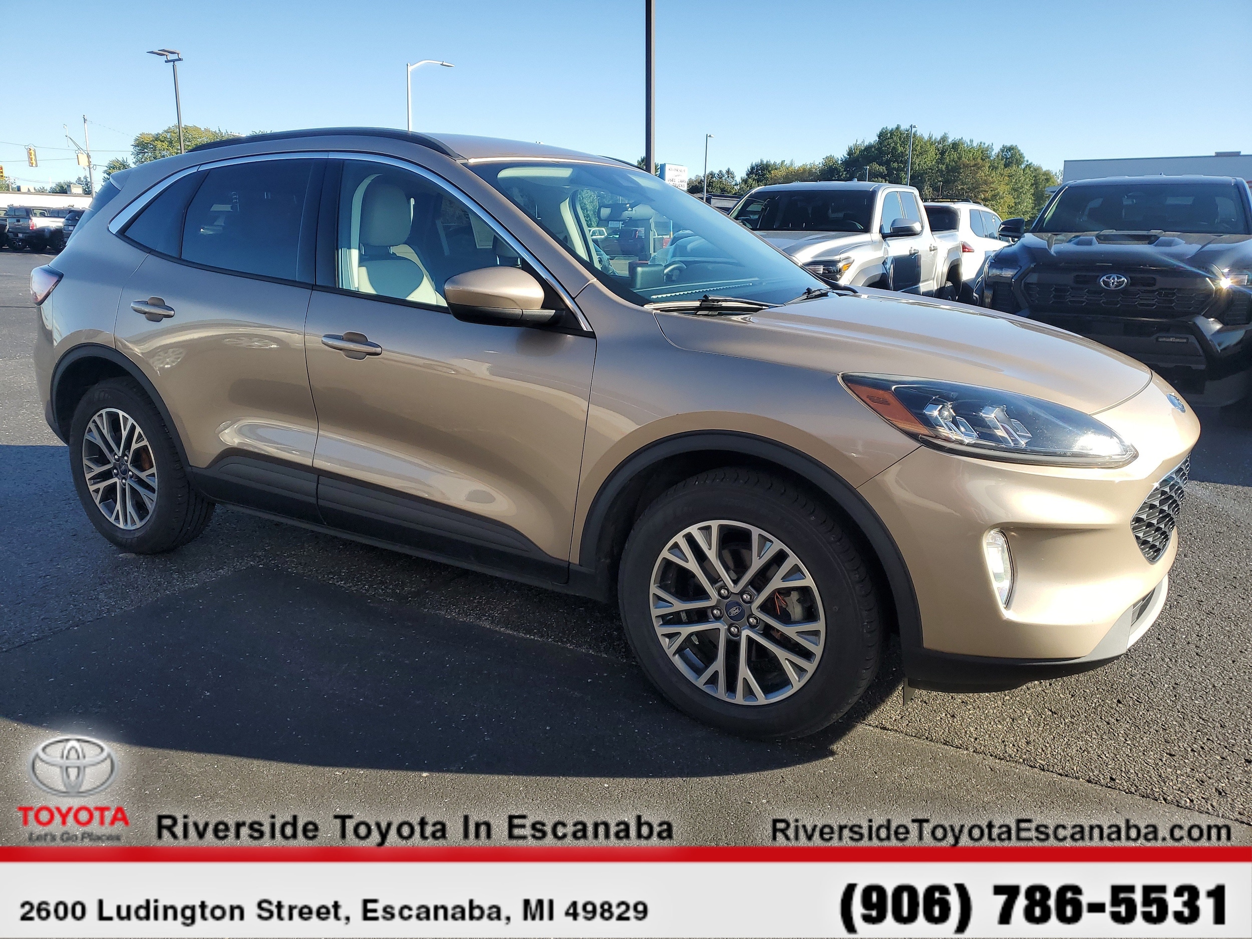 2021 Ford Escape SEL