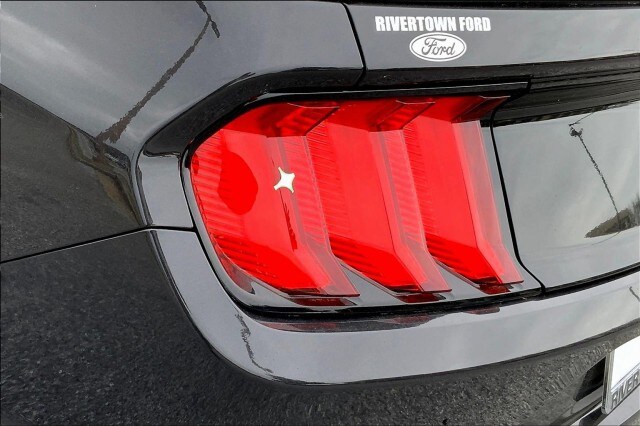 2023 Ford Mustang Mach 1 - Photo 12