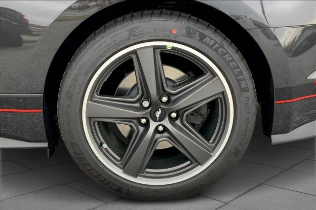 2023 Ford Mustang Mach 1 - Photo 10
