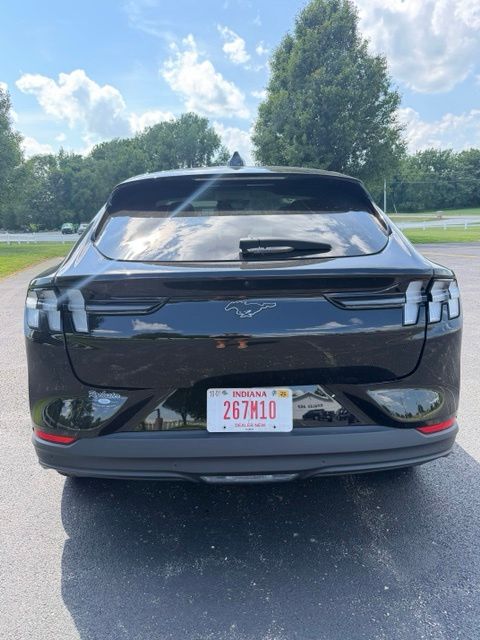 Used 2025 Ford Mustang Mach-E Premium AWD with VIN 3FMTK3SU6SMA00752 for sale in Rochester, IN