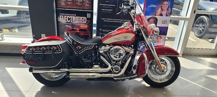 2024 Harley Davidson FL FLI Motorcycle