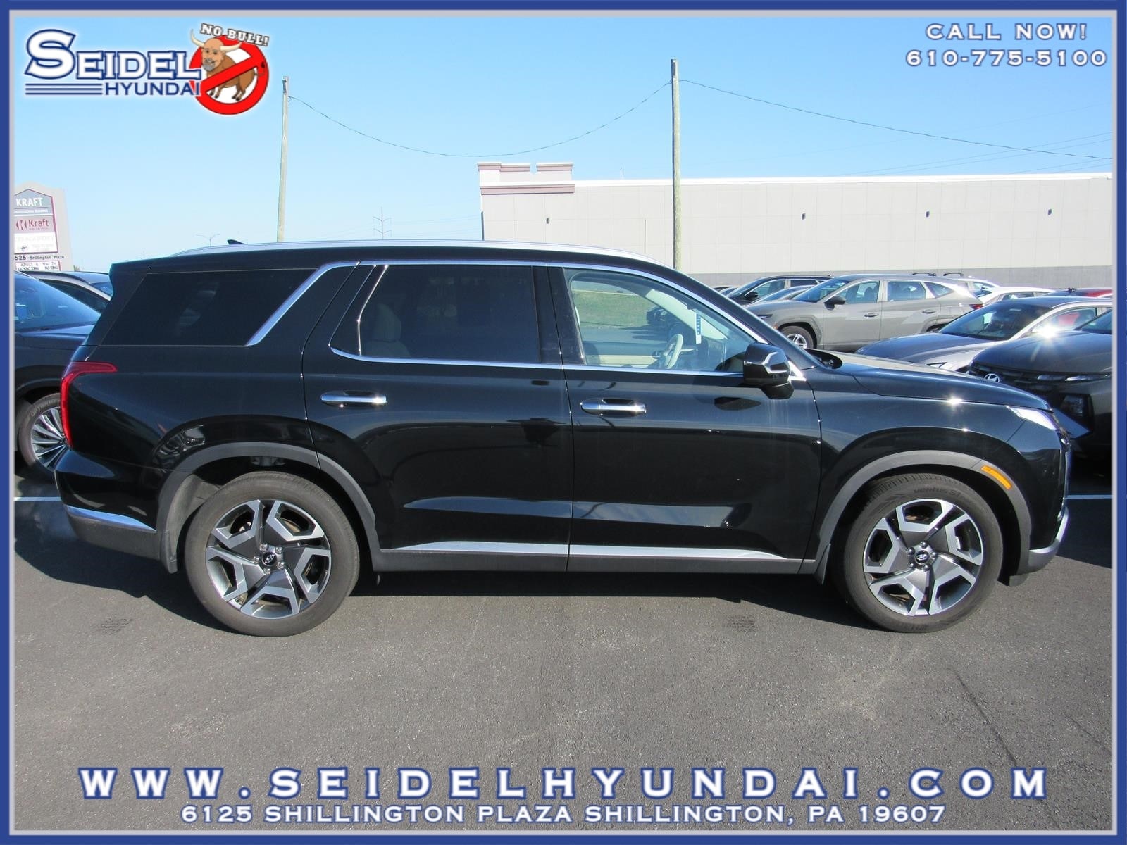 2024 Hyundai Palisade Limited - Photo 6