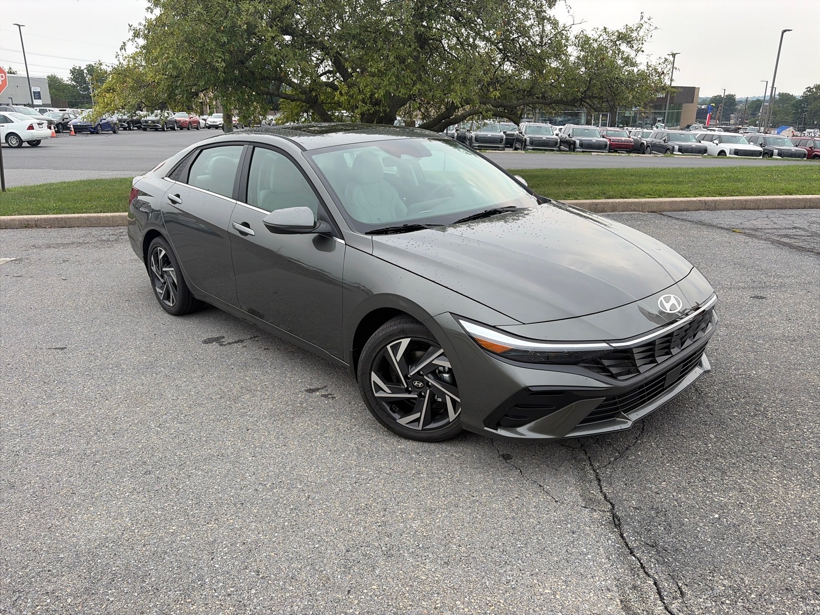 2026 Hyundai Elantra Limited Limited  Sedan