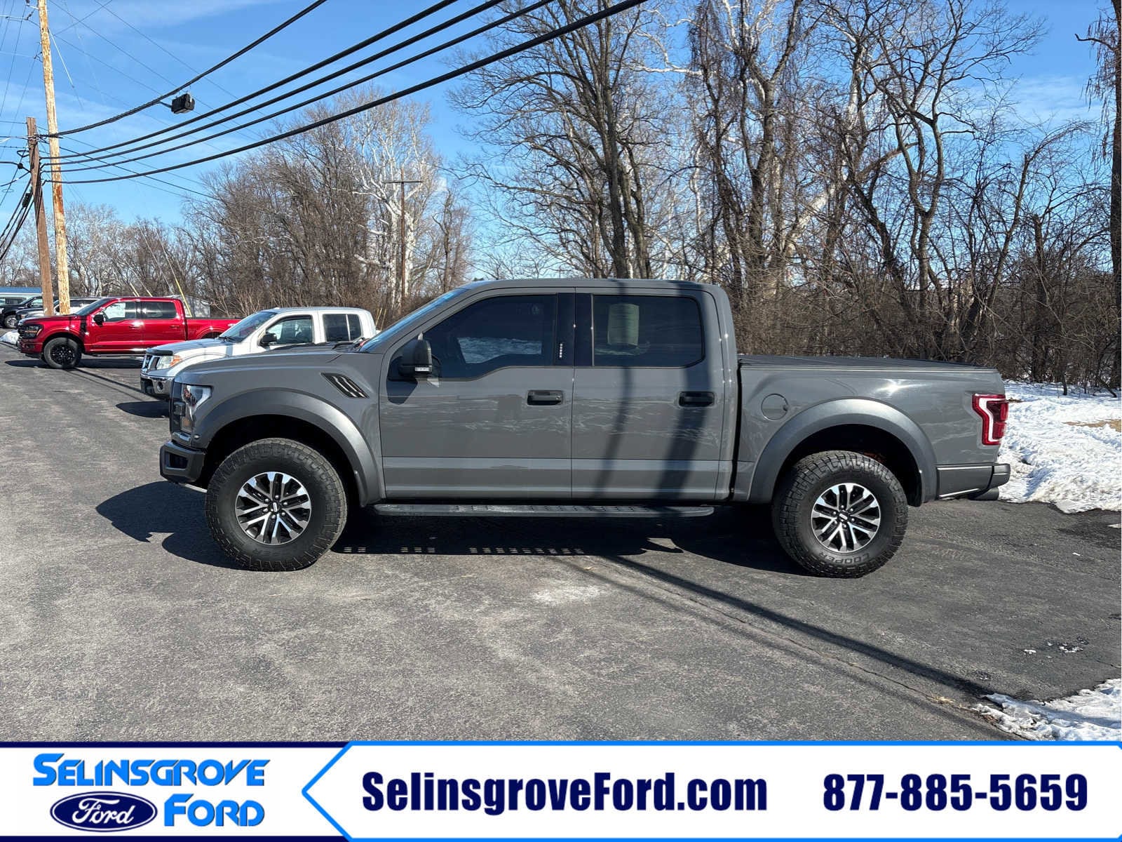 2020 Ford F-150 Raptor - Photo 9