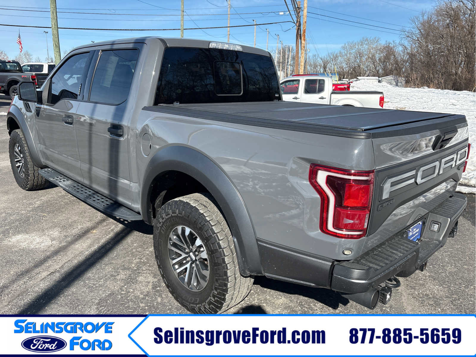 2020 Ford F-150 Raptor - Photo 8