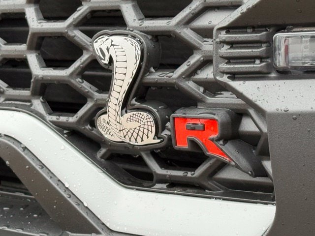 2026 Ford F-150 Raptor - Photo 13