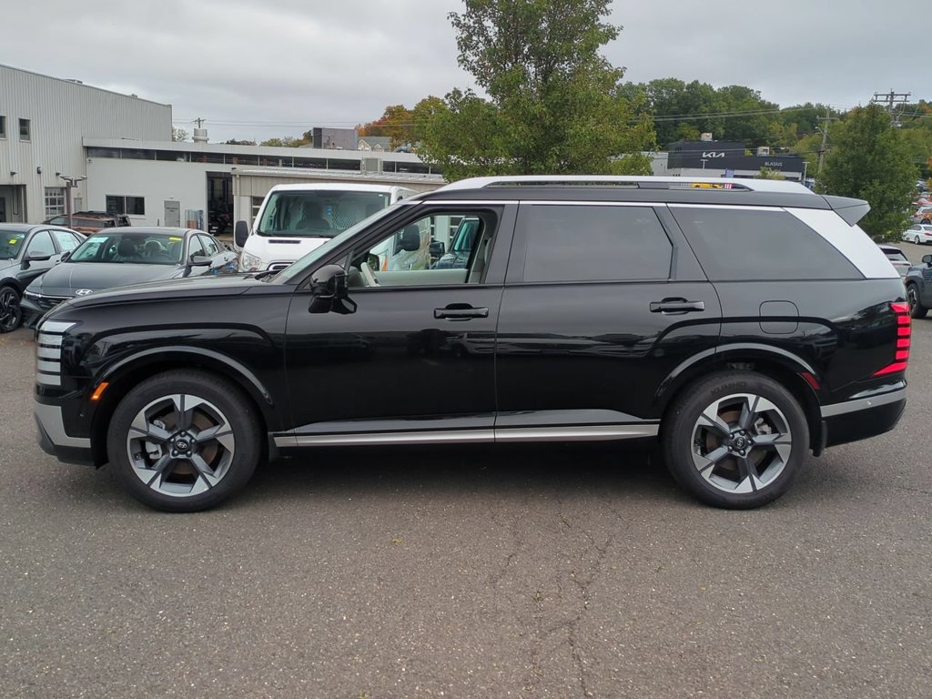 2026 Hyundai Palisade Limited - Photo 6