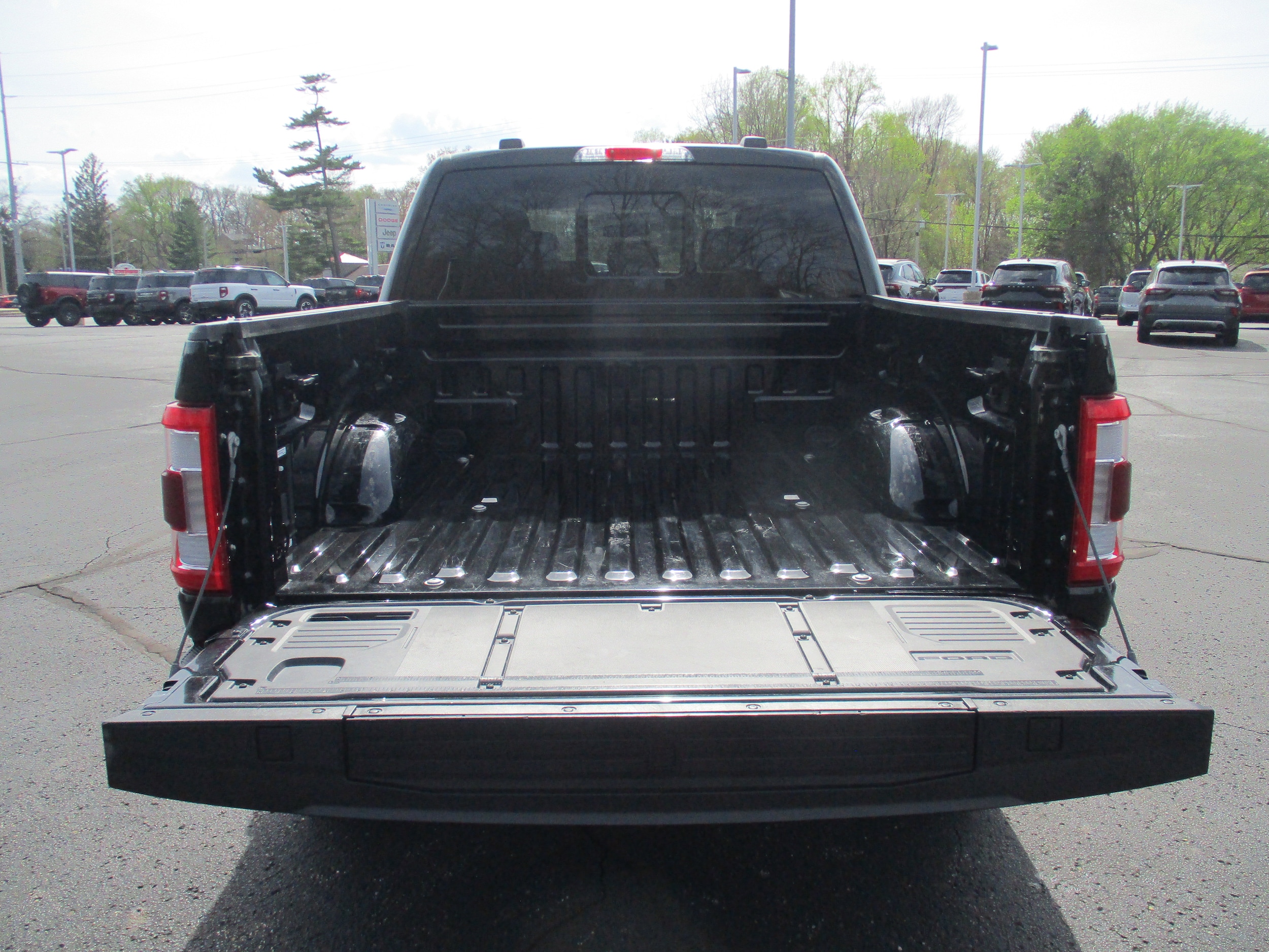 2023 Ford F-150 Limited - Photo 52