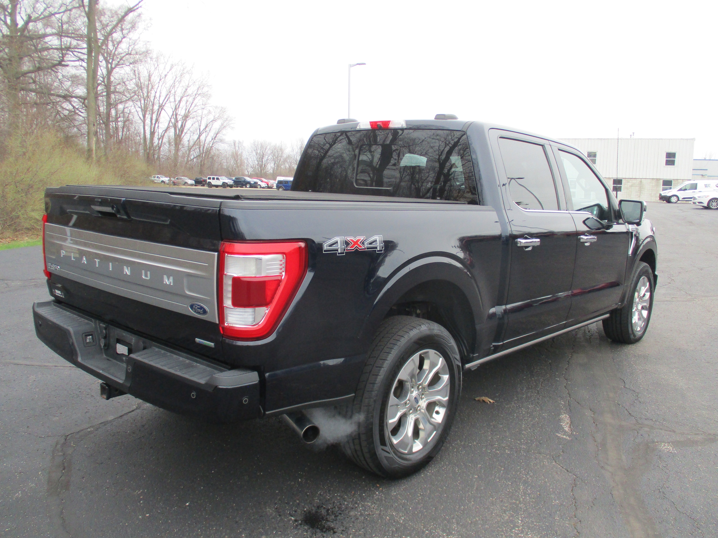 2021 Ford F-150 Platinum - Photo 7
