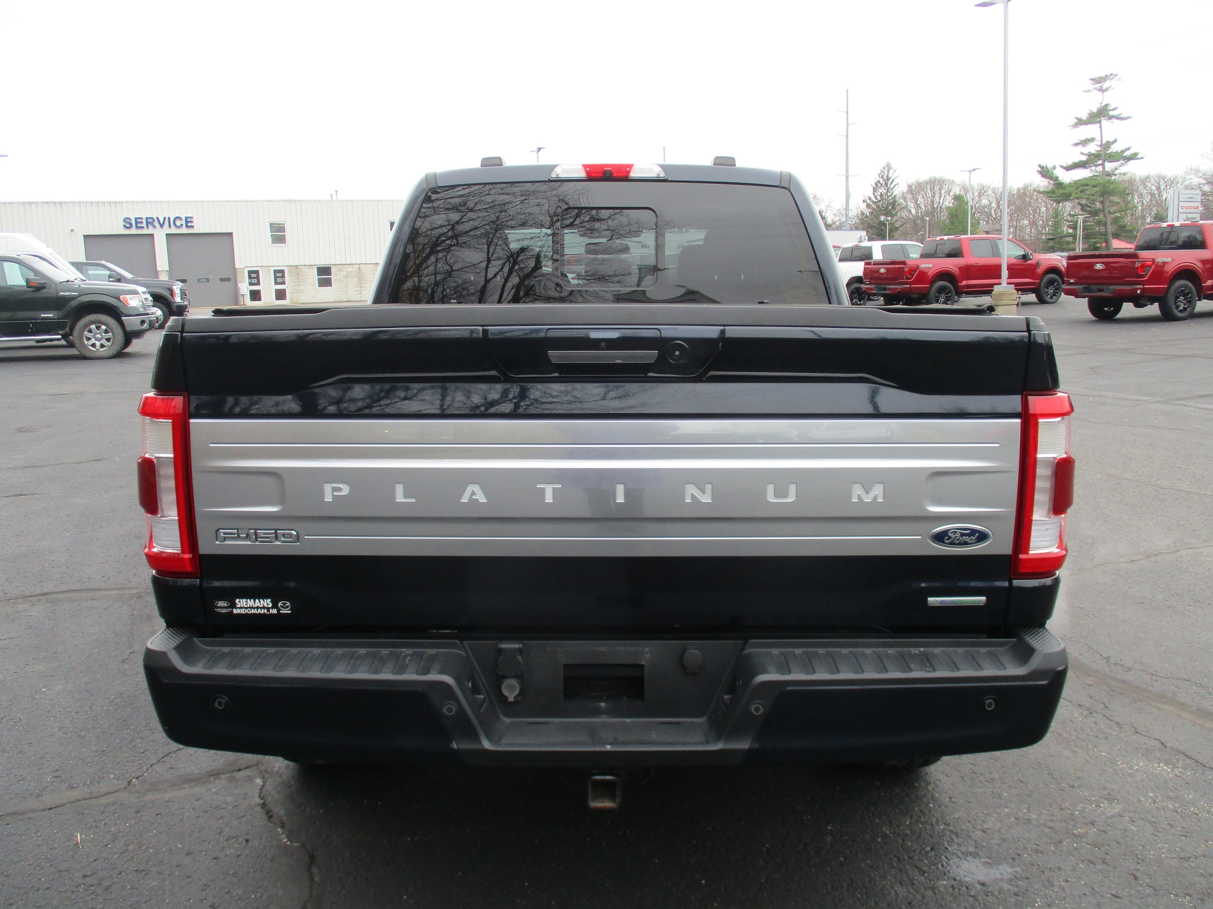 2021 Ford F-150 Platinum - Photo 8