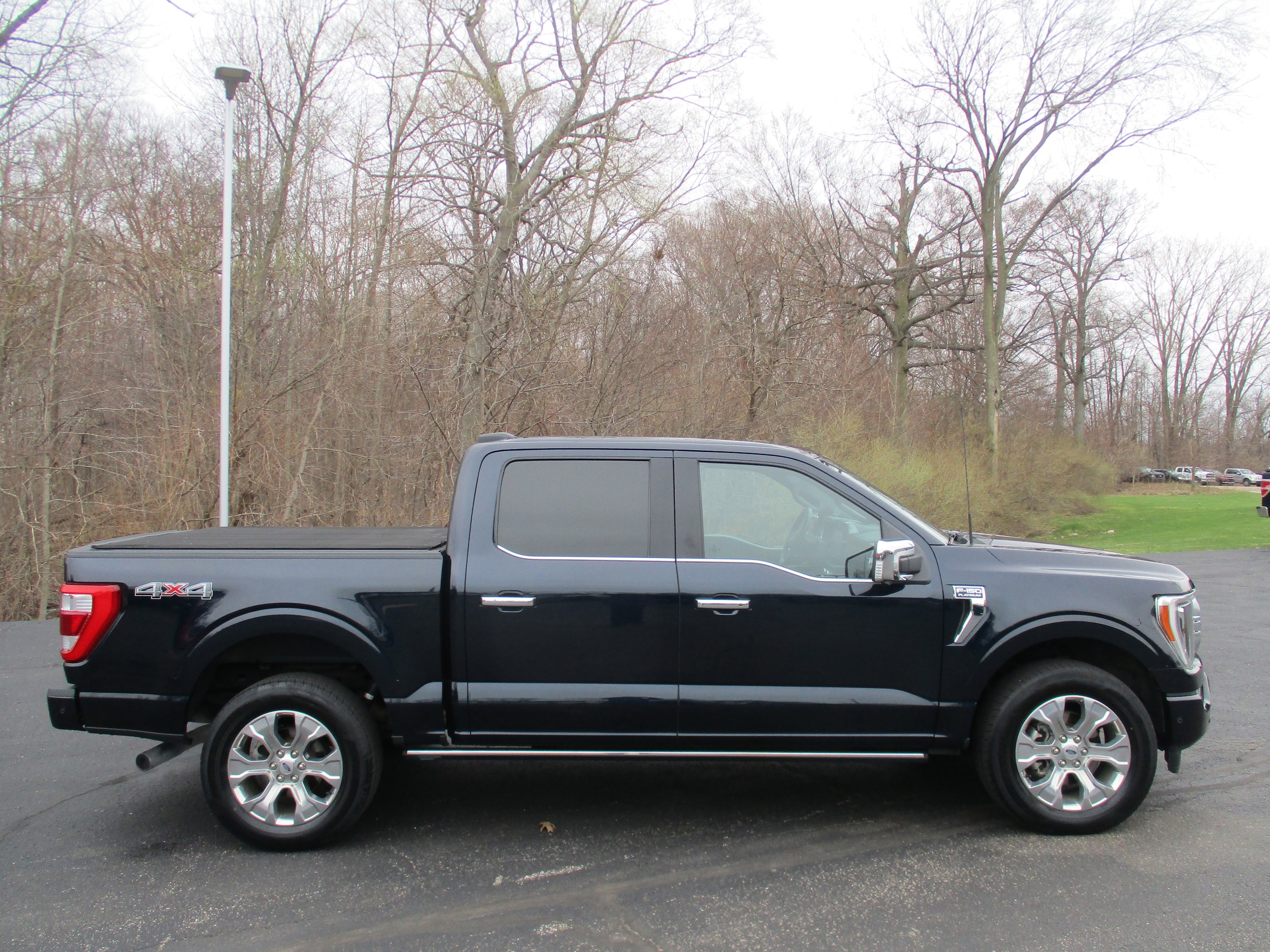 2021 Ford F-150 Platinum - Photo 6