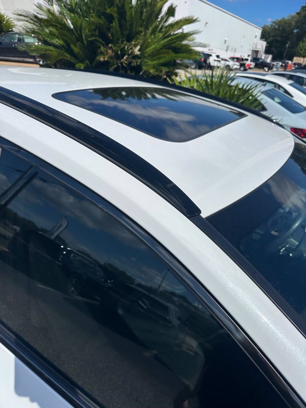 Used 2024 Lexus NX 350 F SPORT Handling SUV