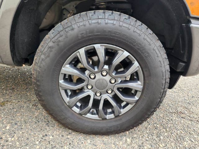 Photo 19