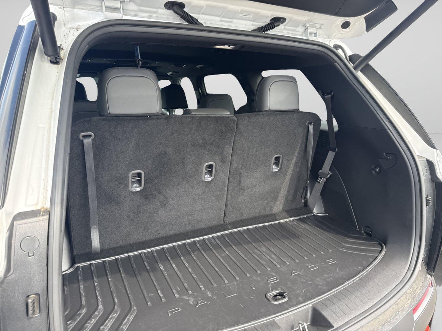 2026 Hyundai Palisade XRT Pro - Photo 9
