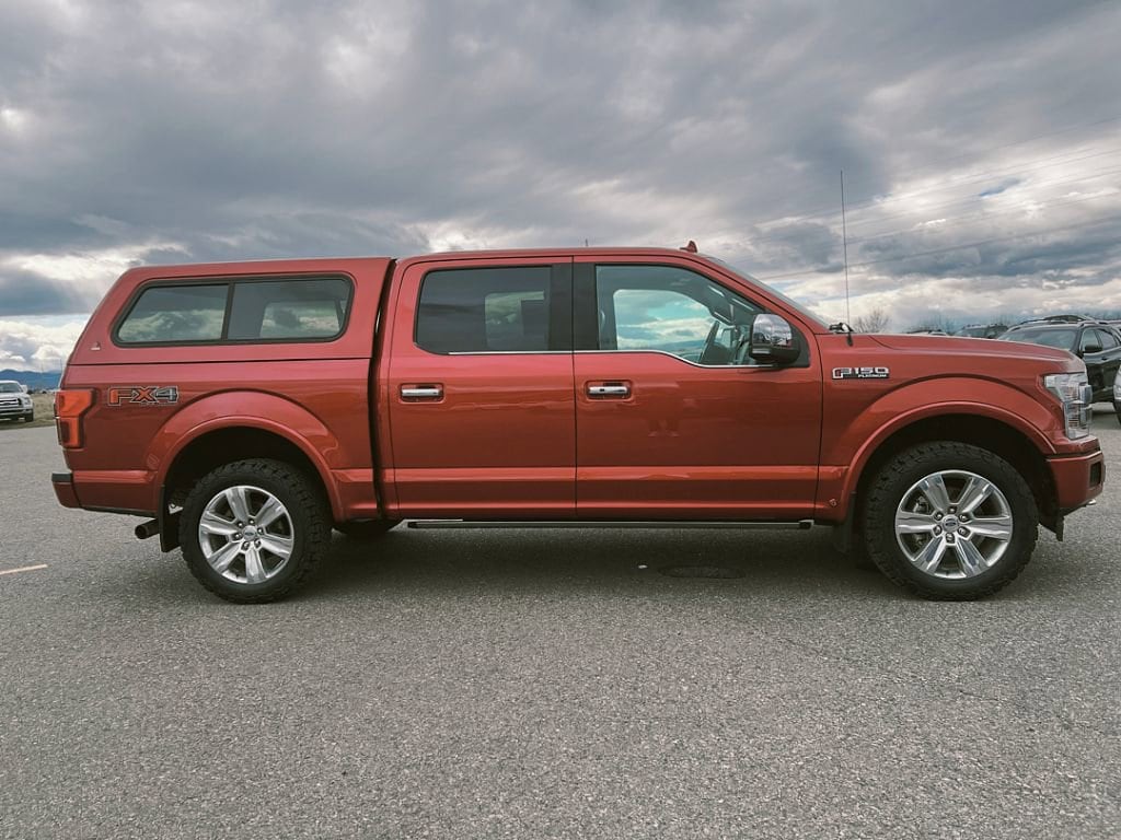 2020 Ford F-150 Platinum - Photo 4