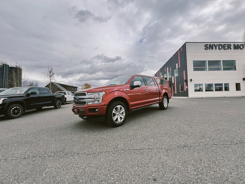 2020 Ford F-150 Platinum - Photo 9