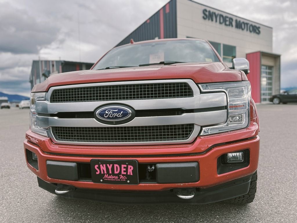 2020 Ford F-150 Platinum - Photo 2