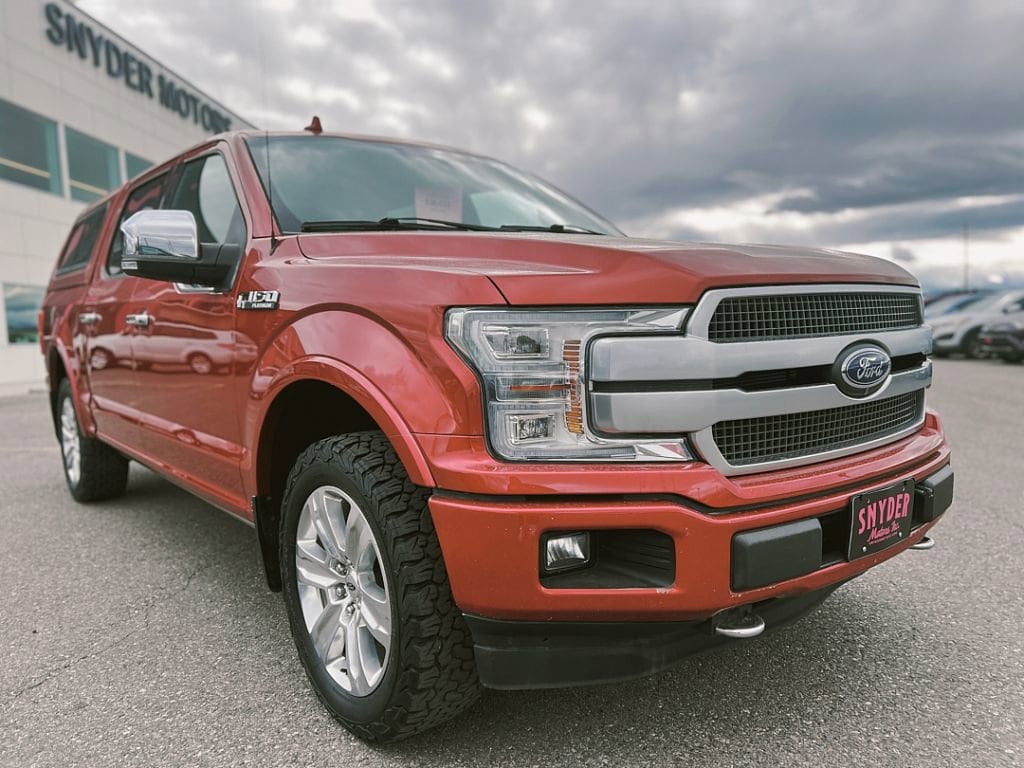 2020 Ford F-150 Platinum - Photo 3