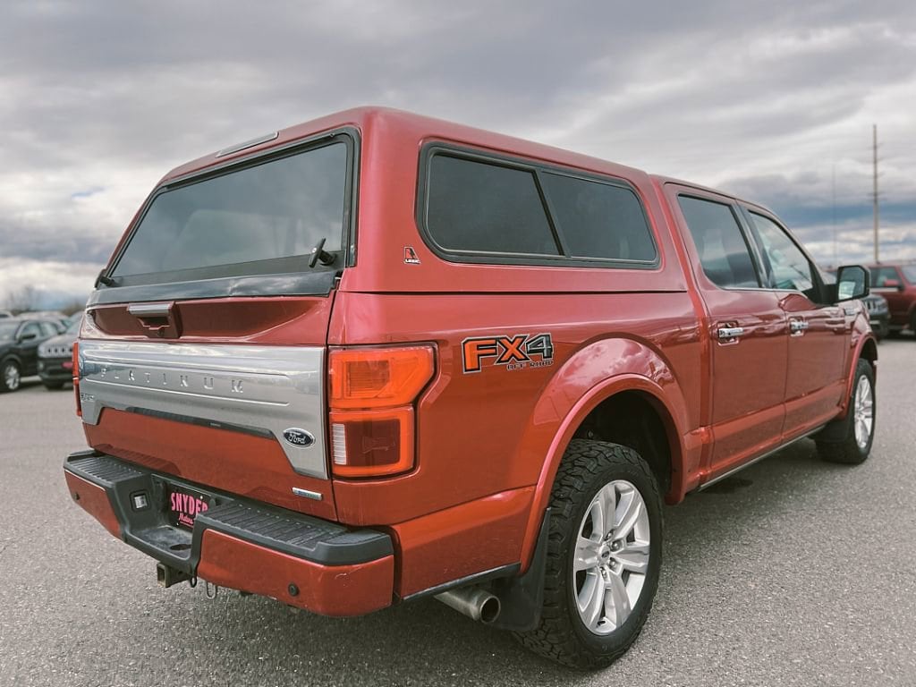 2020 Ford F-150 Platinum - Photo 5