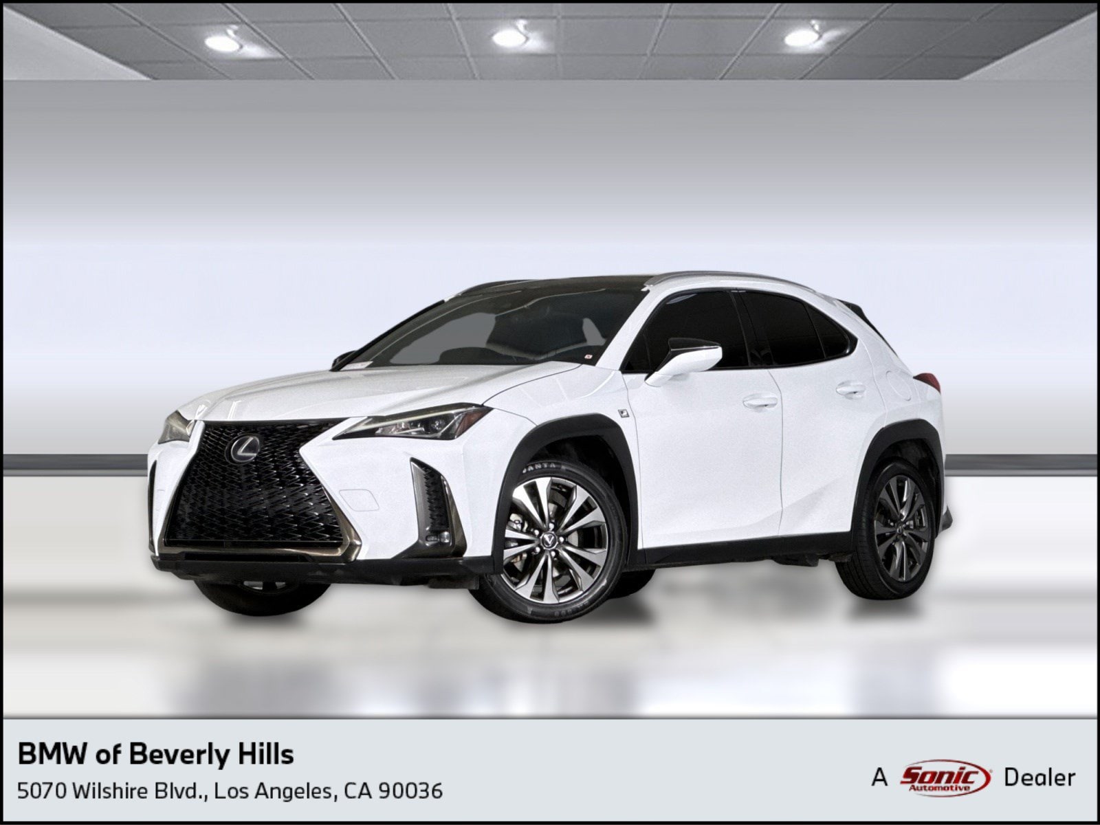 2019 Lexus UX Hybrid