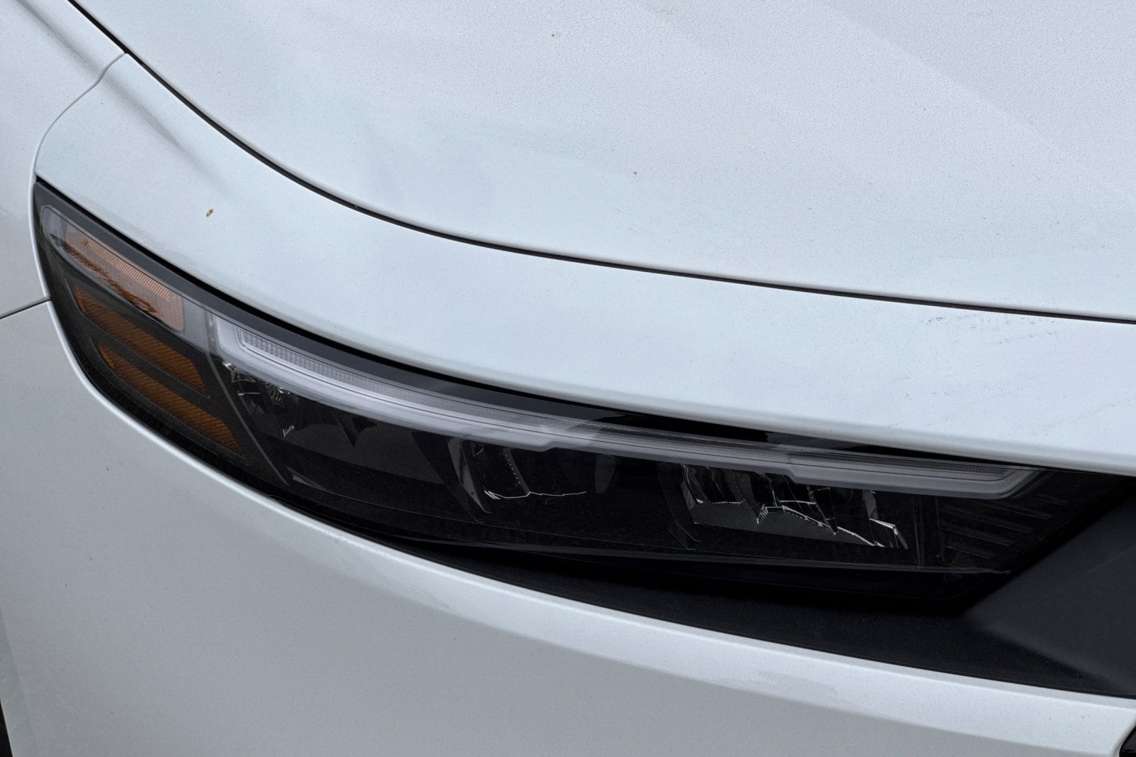2026 Honda Accord Hybrid Sport-L - Photo 10
