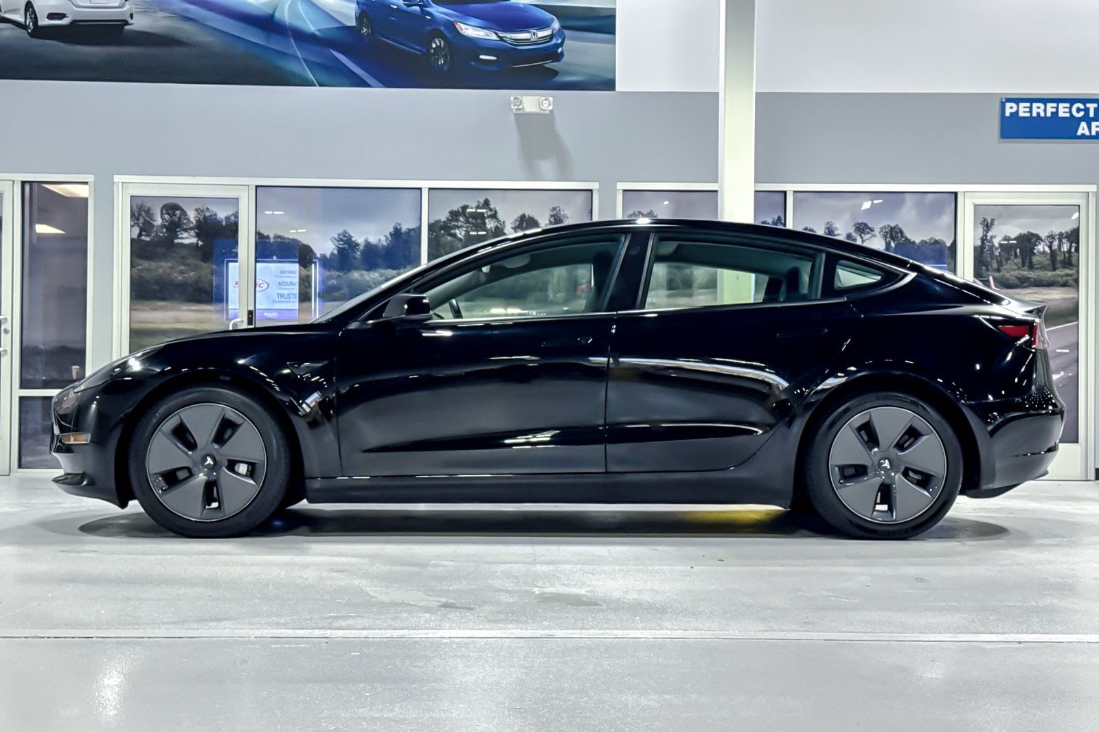 Used 2023 Tesla Model 3 Base with VIN 5YJ3E1EA2PF542086 for sale in Concord, CA