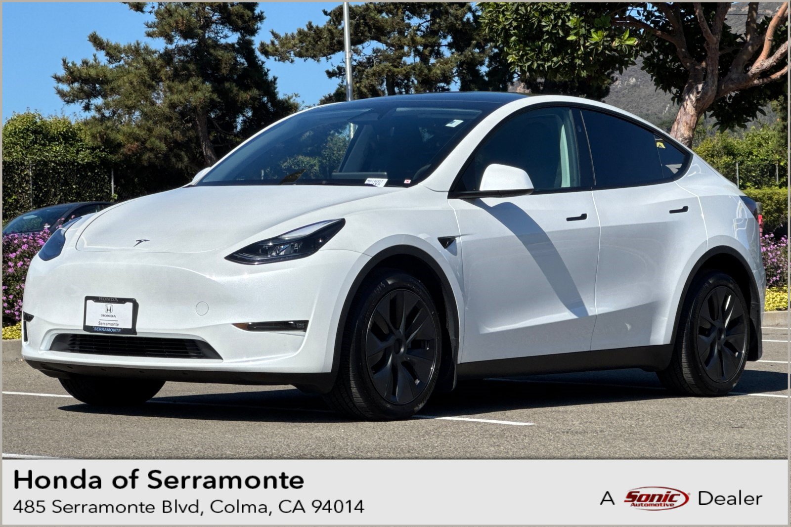  Tesla Model Y