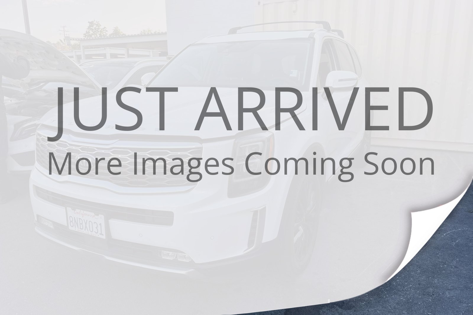 Used 2020 Kia Telluride SX SUV