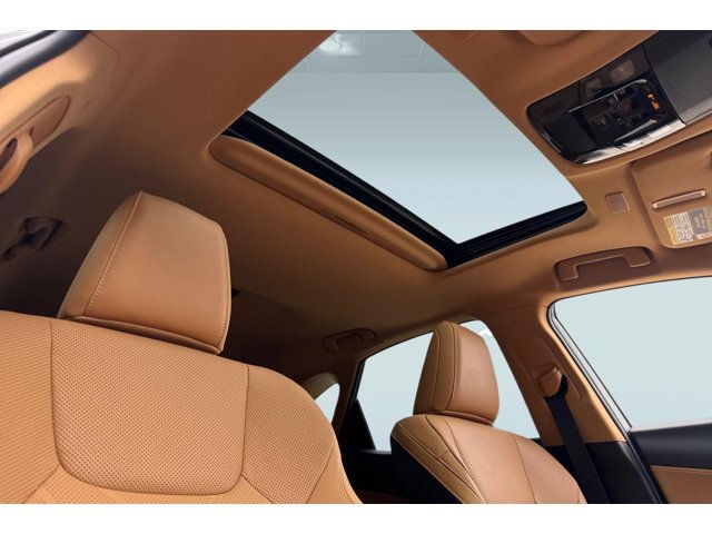2026 Lexus NX 450h+ Premium - Photo 21