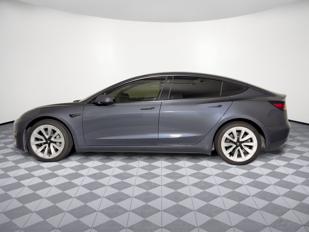 Used 2023 Tesla Model 3 Base with VIN 5YJ3E1EA3PF565568 for sale in Katy, TX