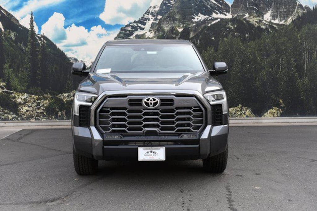 New 2026 Toyota Tundra Platinum Truck