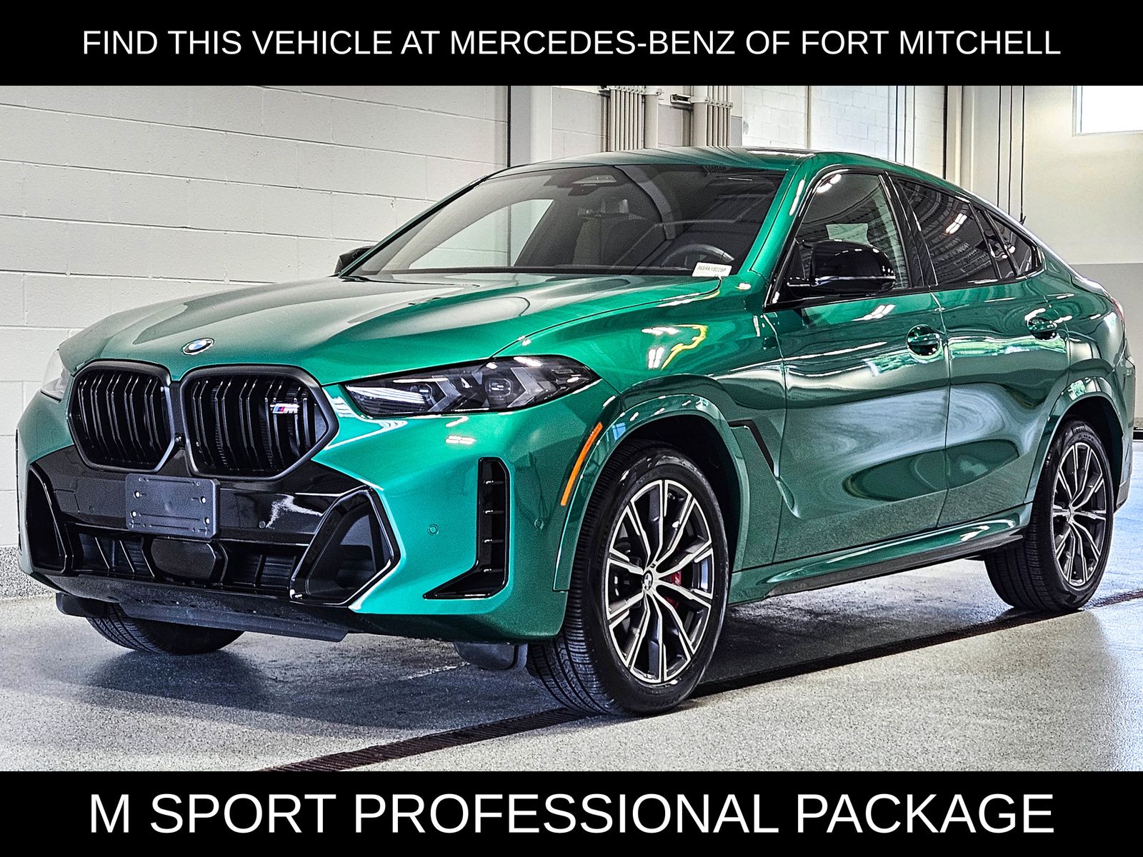 2025 BMW X6