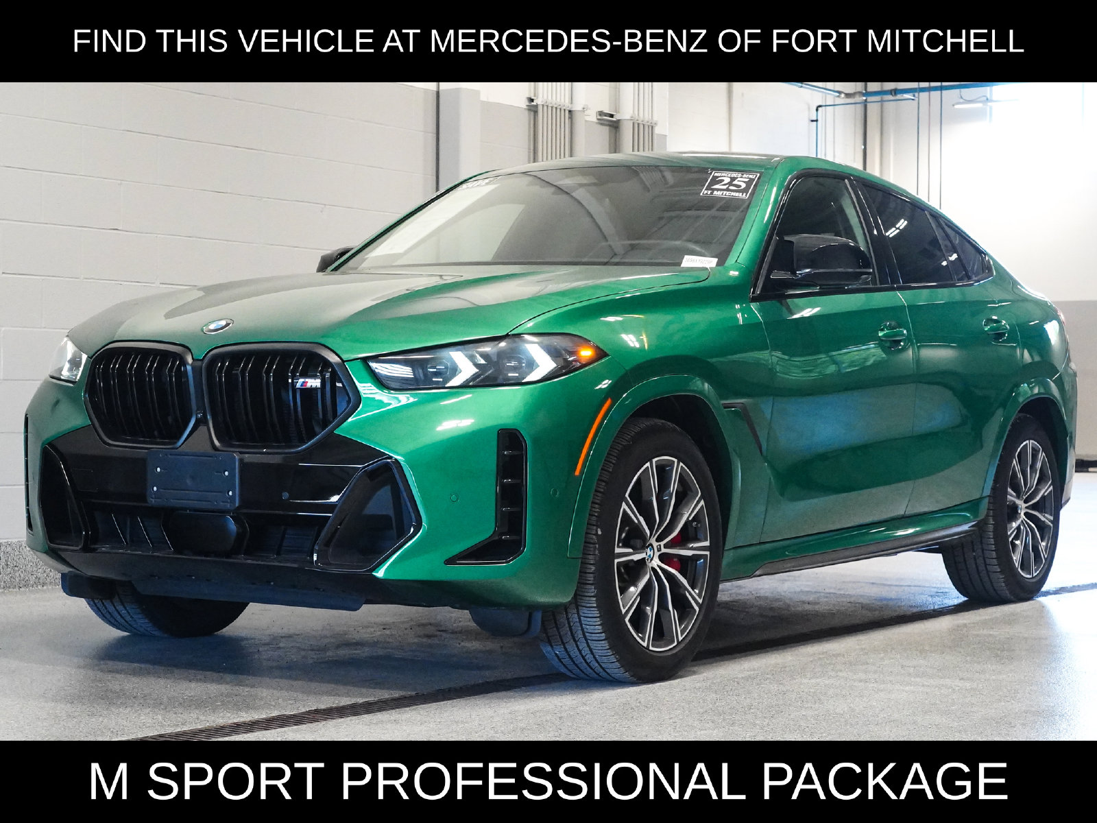 2025 BMW X6