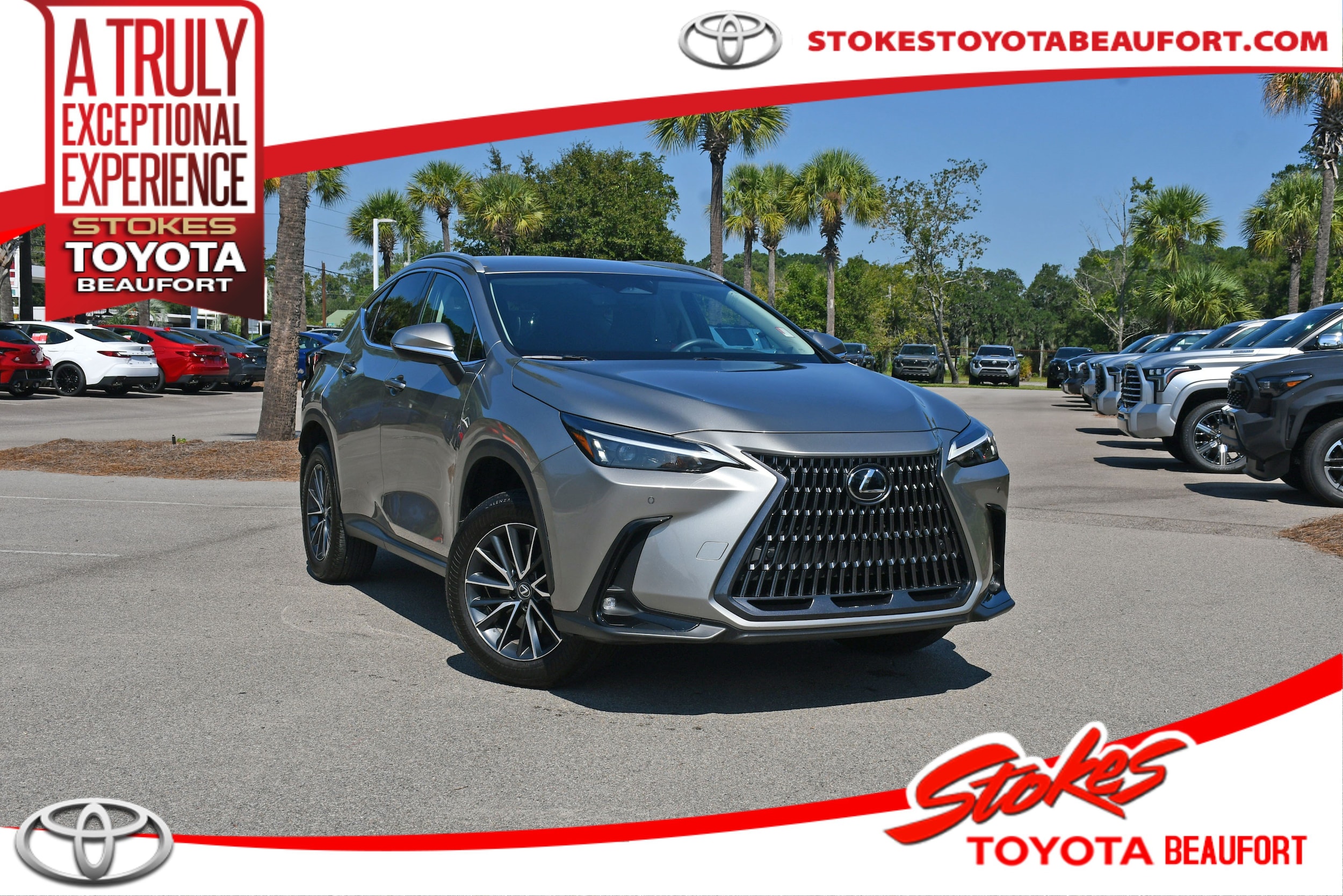 2025 Lexus NX