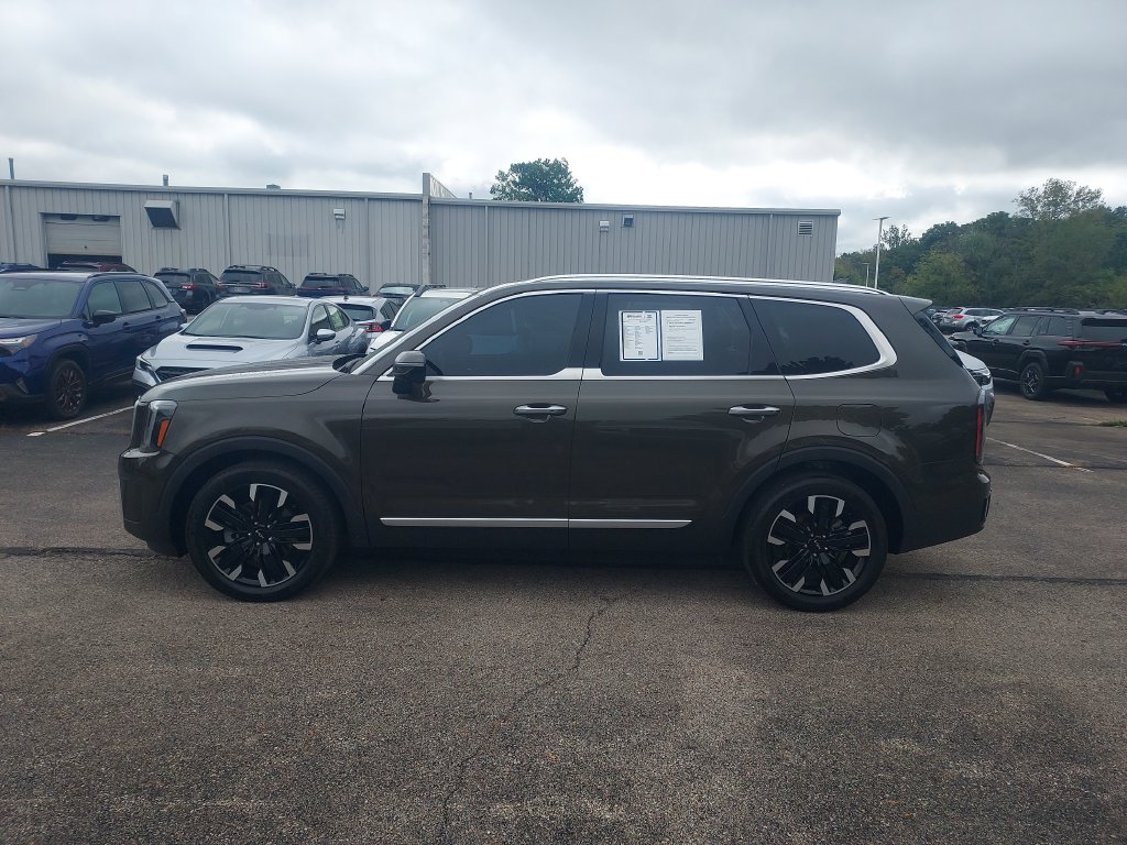 Used 2024 Kia Telluride SX-Prestige SUV