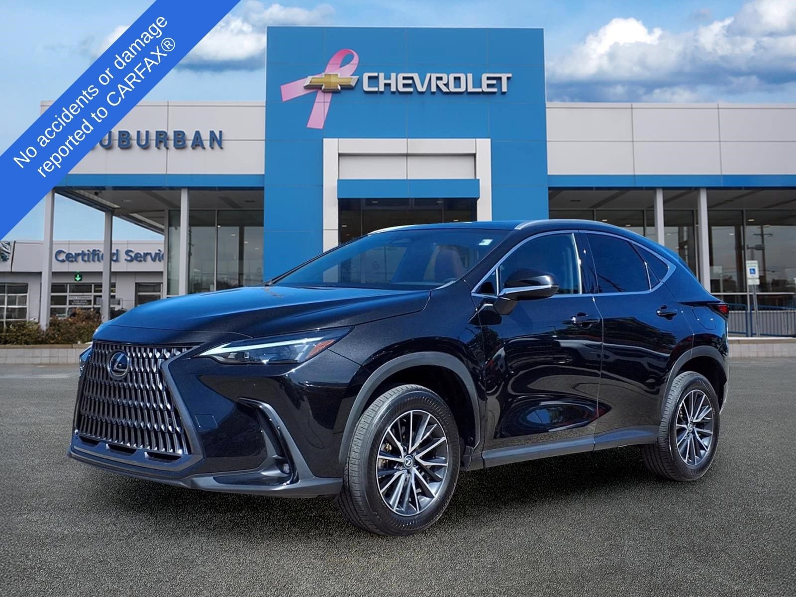 2024 Lexus NX 350