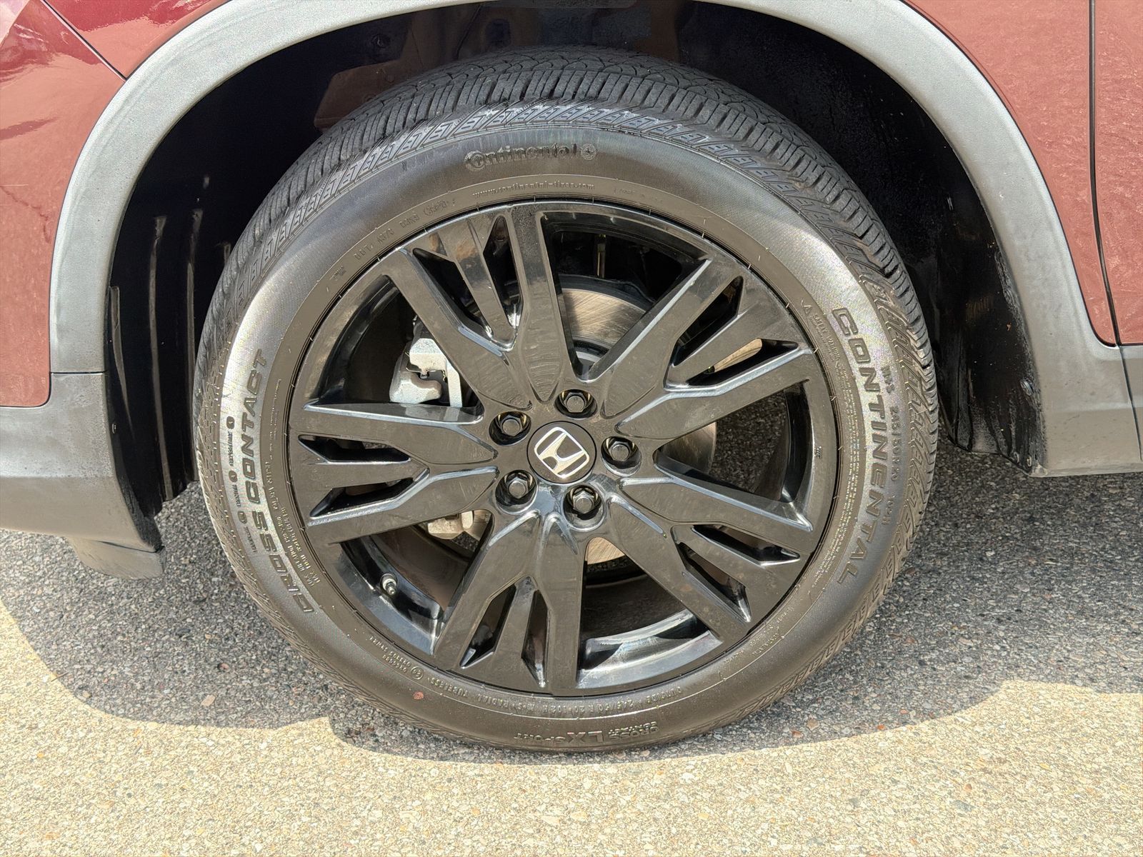Photo 14