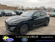  Ford Mustang Mach-E