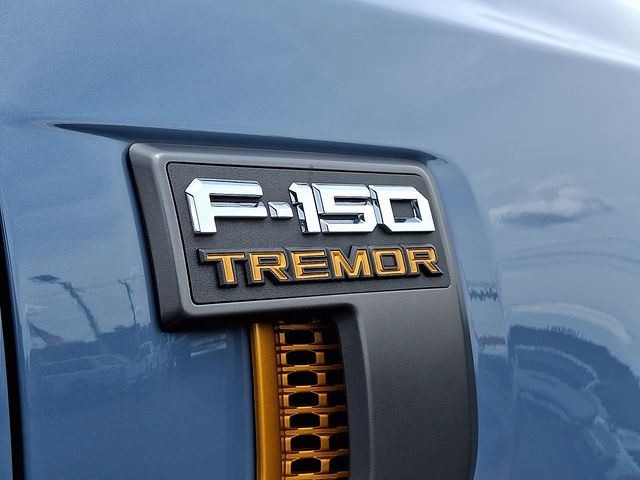 2023 Ford F-150 Tremor - Photo 31