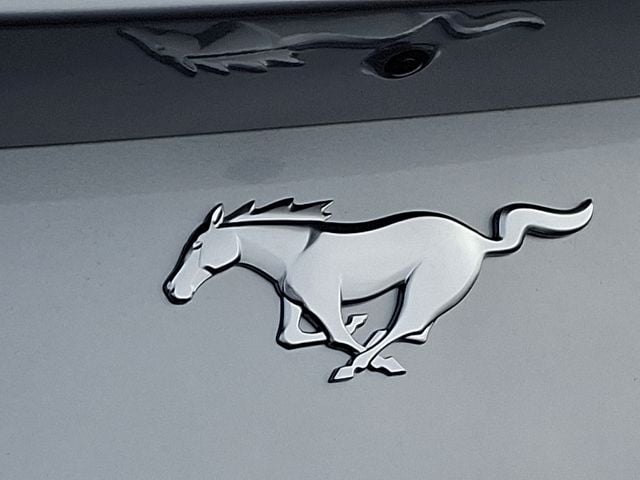 2025 Ford Mustang EcoBoost Premium Fastback - Photo 21